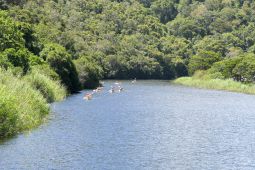 11 Tag Trail21