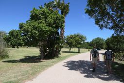 11 Tag Trail22