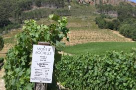 13 Tag Wein04