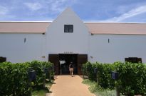13 Tag Wein47