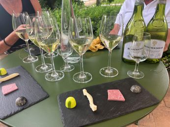 13 Tag Wein60