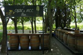 13 Tag Wein12