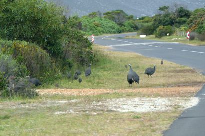 5 Tag Fahrt16