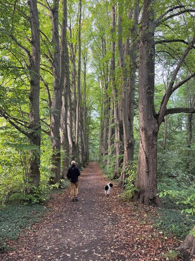 1_Tag_Trail03