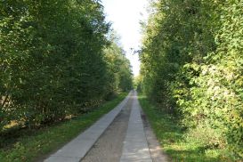 2_Tag_Trail06
