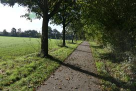 2_Tag_Trail08