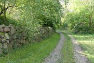 2_Tag_Trail15