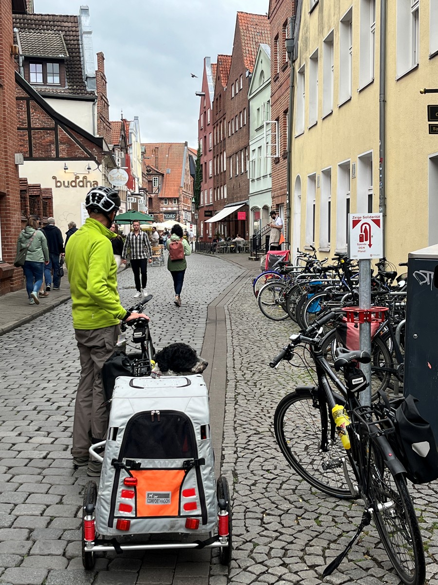 Lüneburg 2025