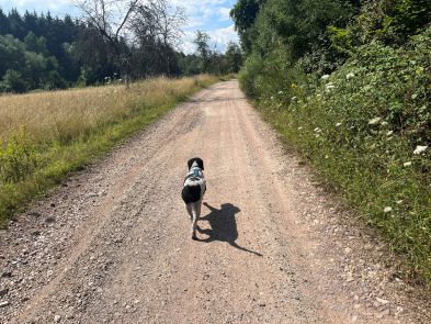 2 Tag Trail17