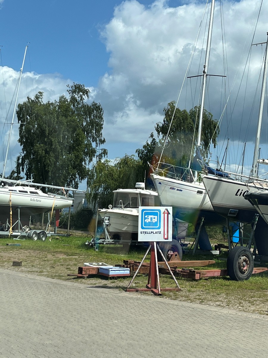 Schlei 2025