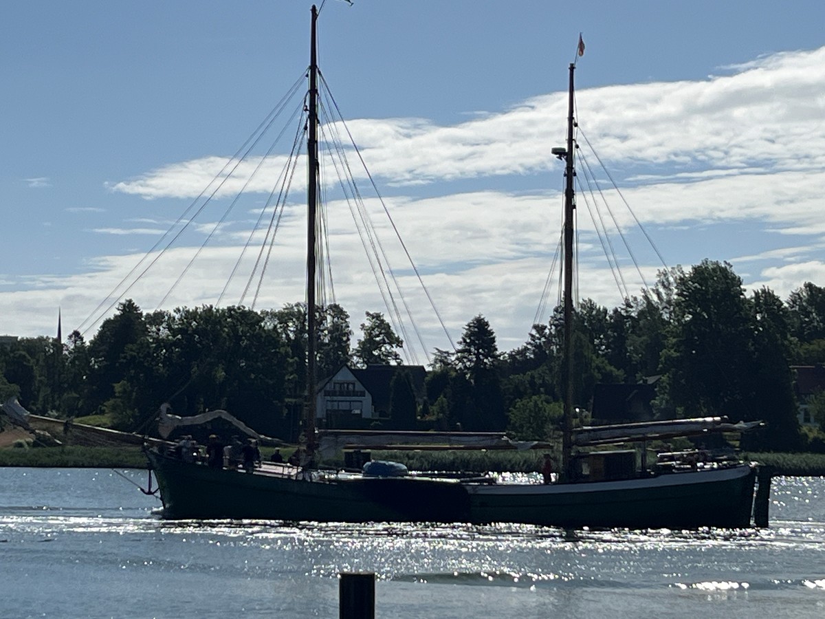 Schlei 2025